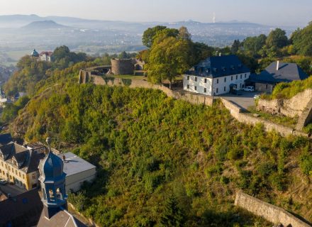 hrad krupka_nálety dřevin